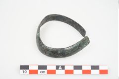 Foto von Bronzeschaukelfußreif (NHMW-PRAE-025995)